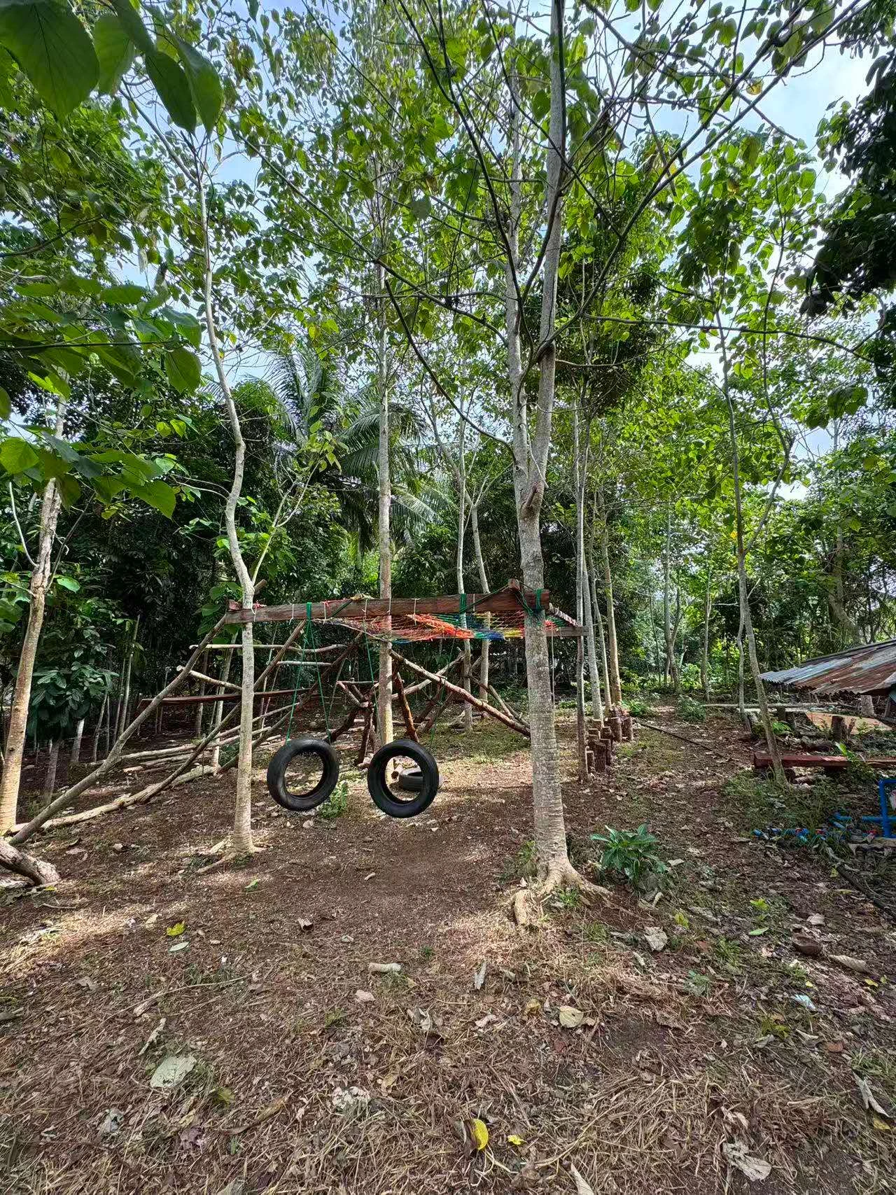 ananda-island-hub-programs-post-anandaislandhub.com