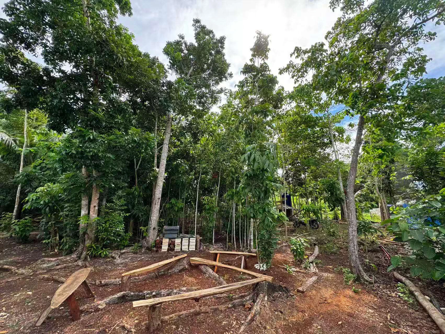 land-ananda-island-hub-post-anandaislandhub.com