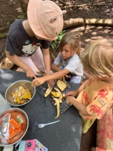 Music-essence-week-ananda-island-hub