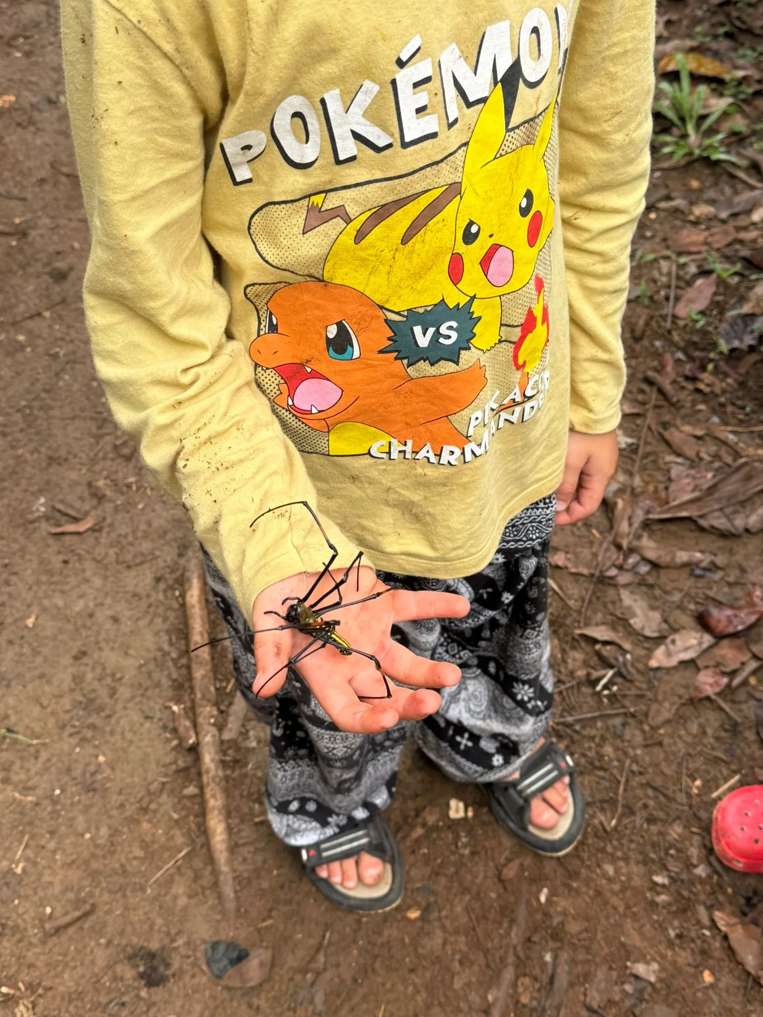 A month at Ananda Island Hub. anandaislandhub.com