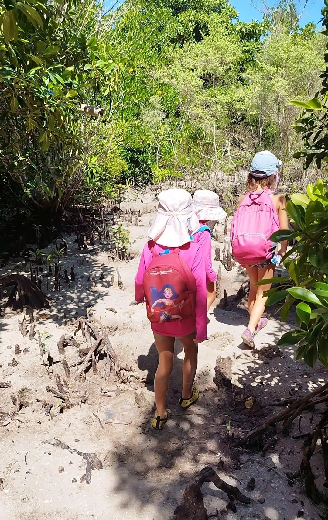a month at ananda island hub. mangrove exploration. anandaislandhub.com