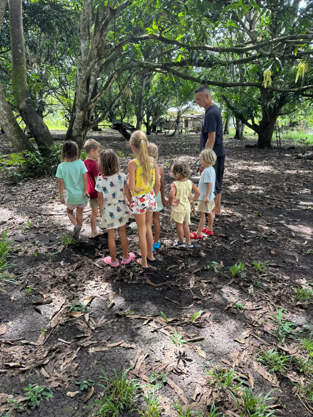 a month at ananda island hub. nature trails. anandaislandhub.com